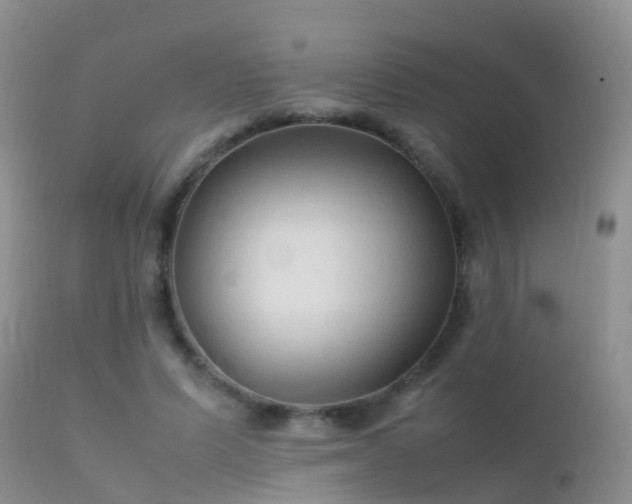 X0000112210591200908141500