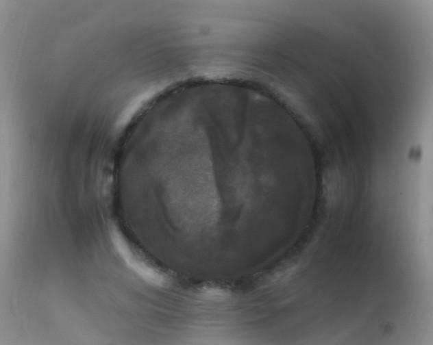 X0000112210592200908141500