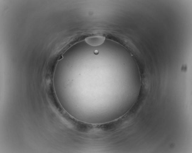 X0000112210593200908141500