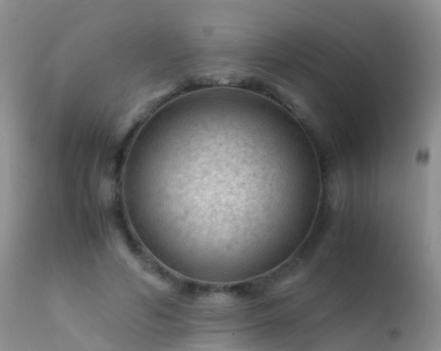 X0000112210594200908141500