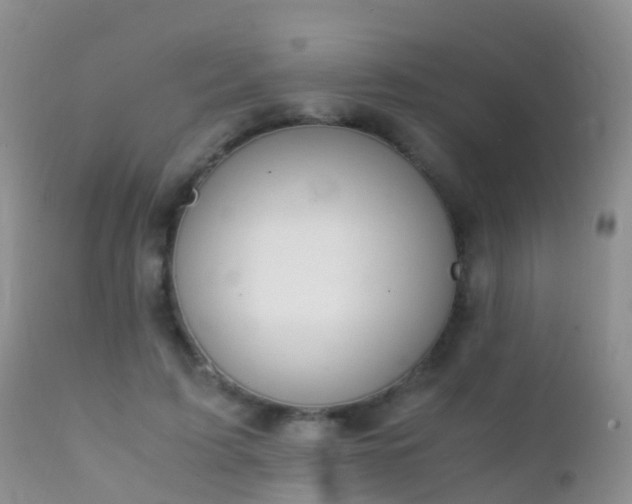 X0000112210595200908141500