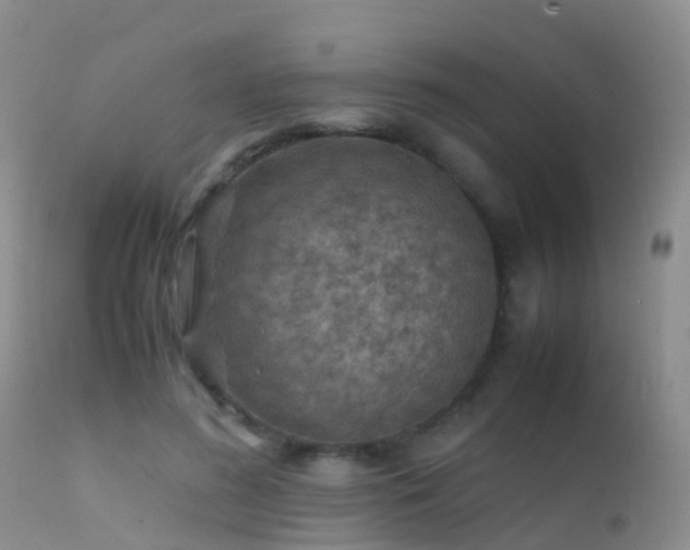 X0000112210596200908141500