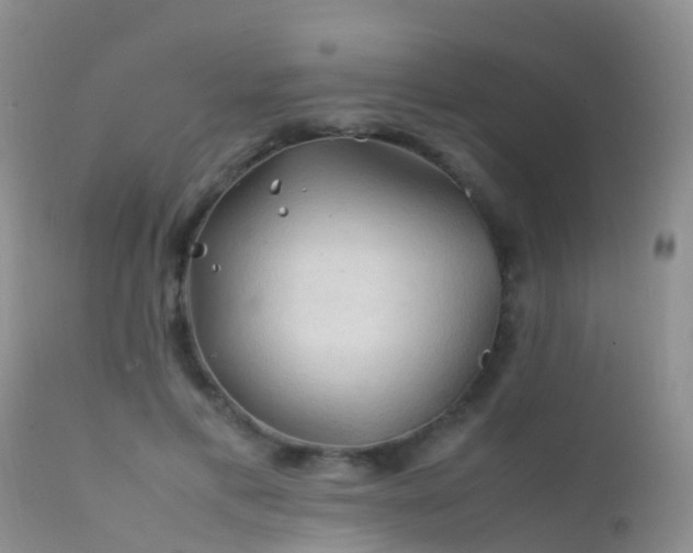 X0000112210597200908141500