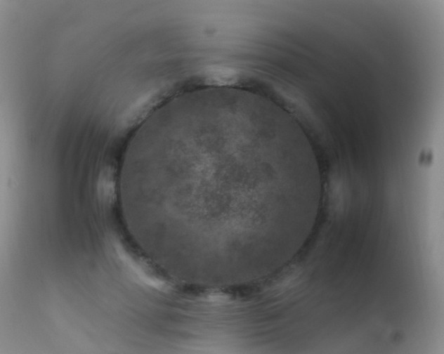 X0000112210598200908141500