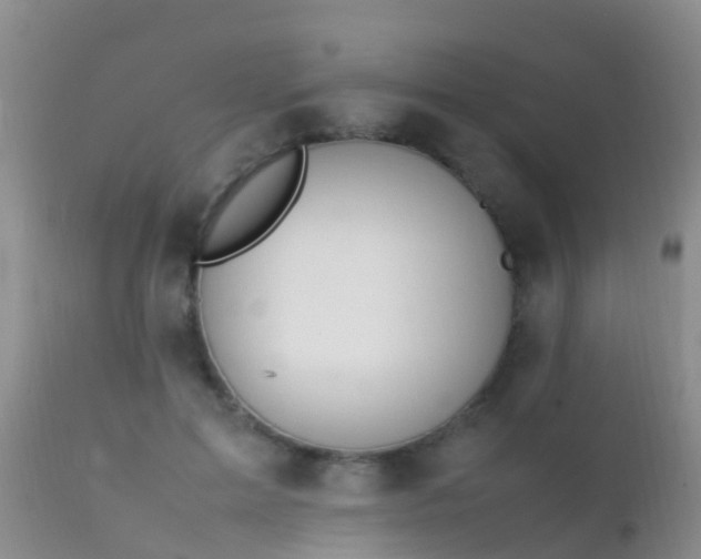 X0000112210599200908141500