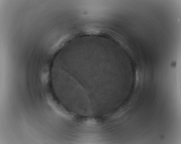 X0000112210600200908141500