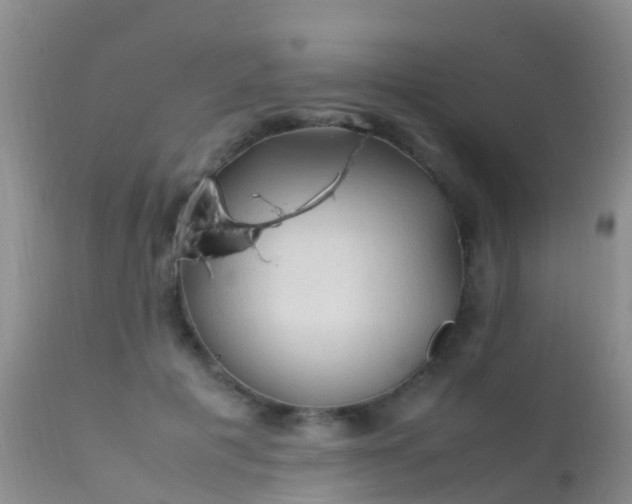 X0000112210601200908141500