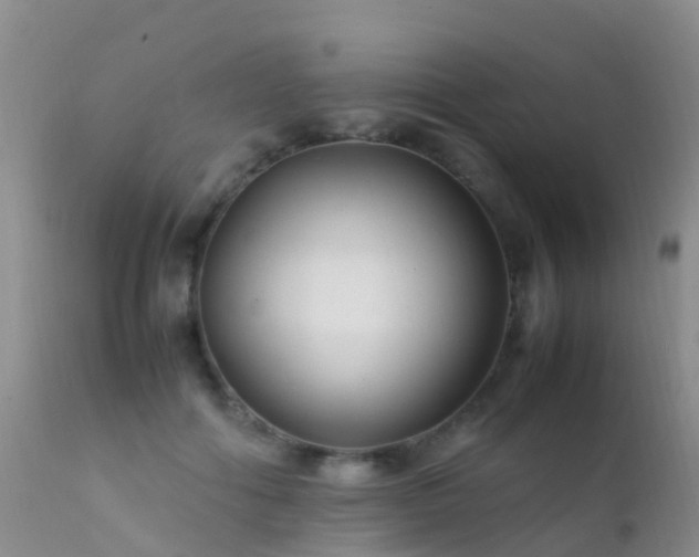 X0000112210602200908141500