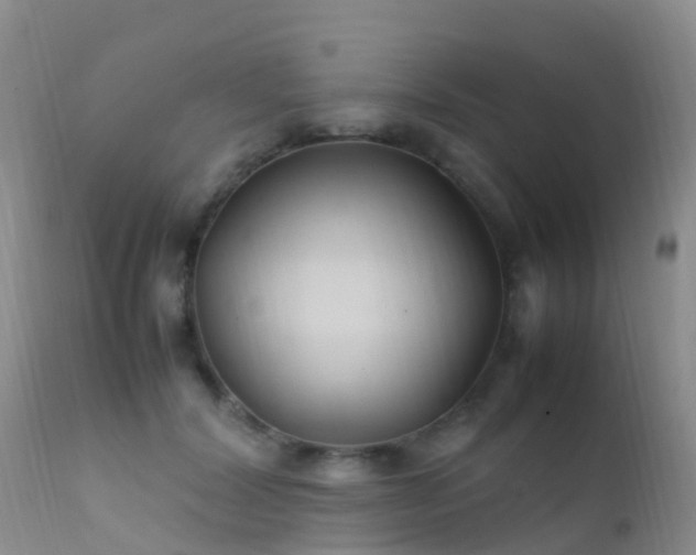 X0000112210604200908141500