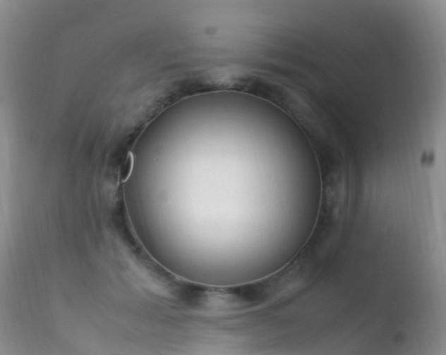 X0000112210605200908141500