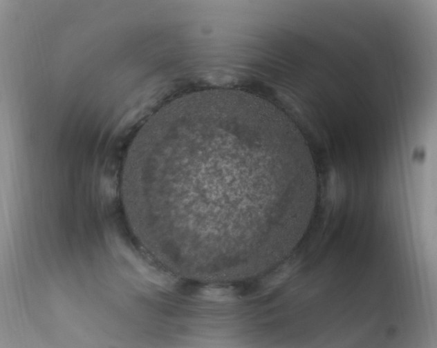 X0000112210606200908141500