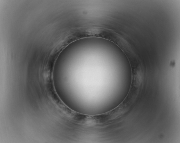 X0000112210608200908141500