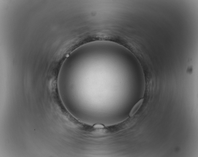 X0000112210609200908141459