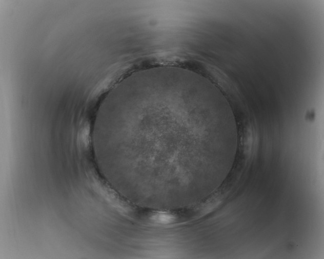 X0000112210610200908141459