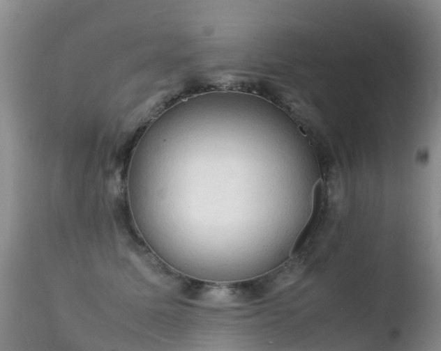 X0000112210611200908141459