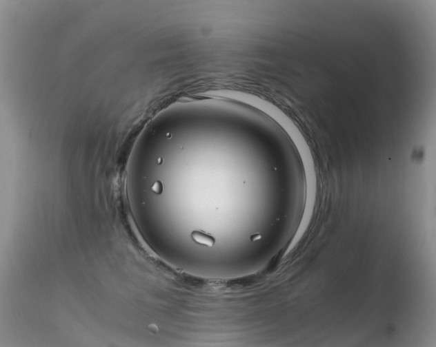 X0000112210613200908141459