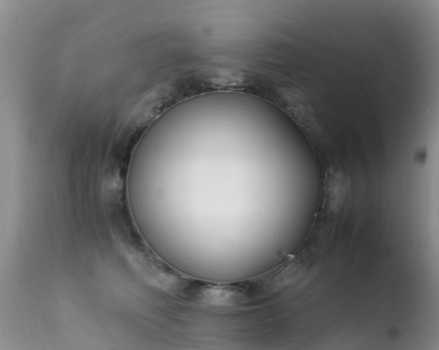 X0000112210614200908141459