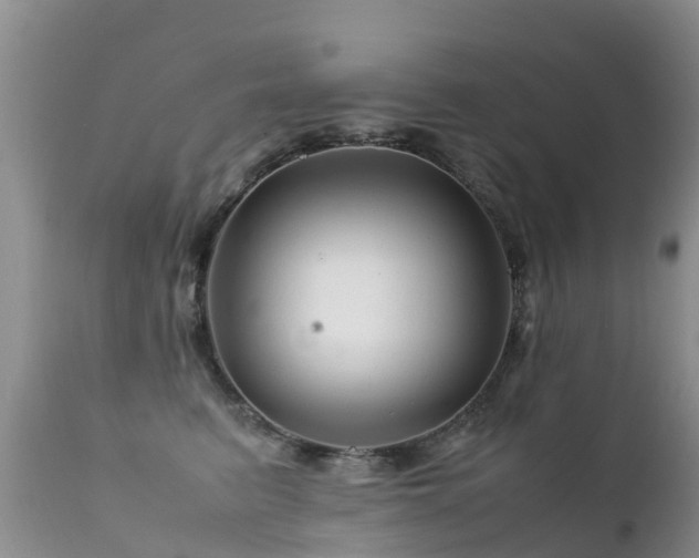 X0000112210615200908141459