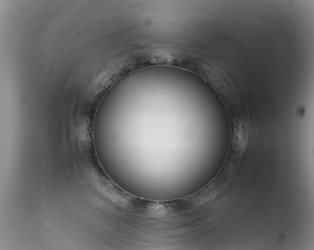 X0000112210616200908141459