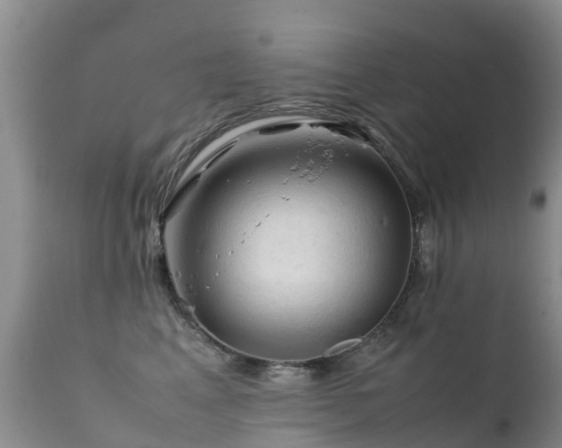 X0000112210617200908141459