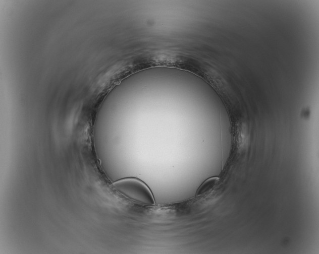 X0000112210619200908141459