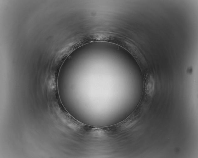 X0000112210620200908141459