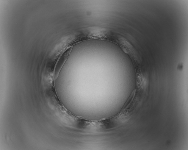 X0000112210621200908141459