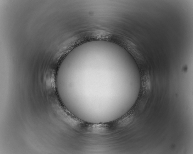 X0000112210622200908141459