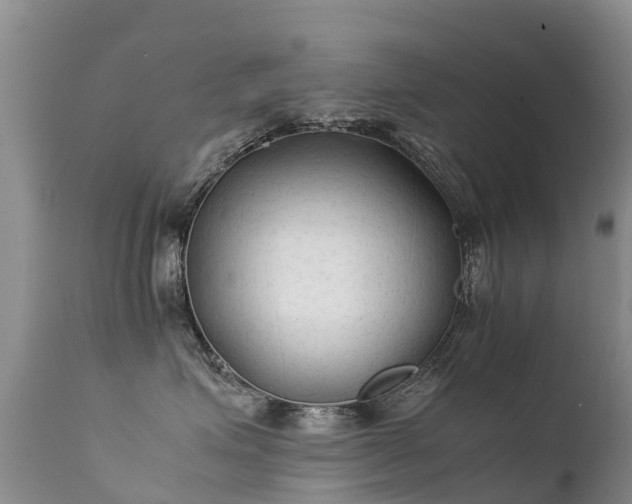 X0000112210623200908141459