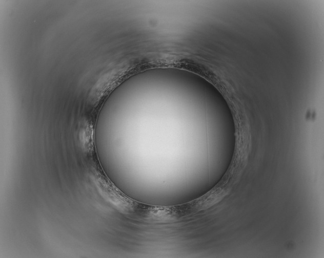 X0000112210624200908141459