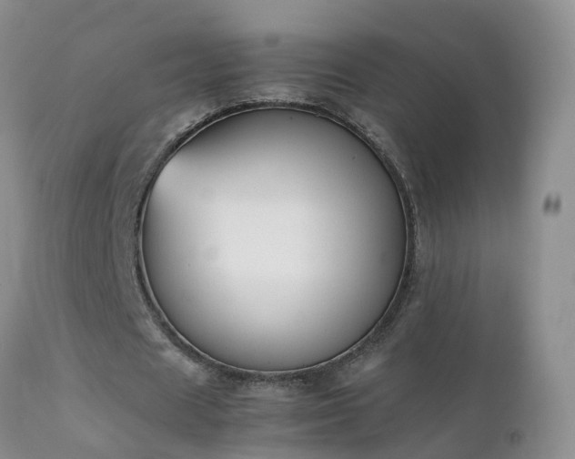 X0000112210625200908141458