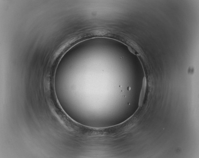 X0000112210626200908141458