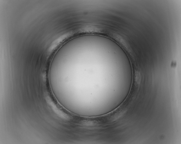 X0000112210629200908141459