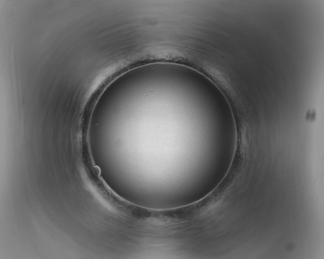 X0000112210630200908141459