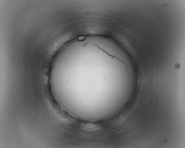 X0000112210635200908141459