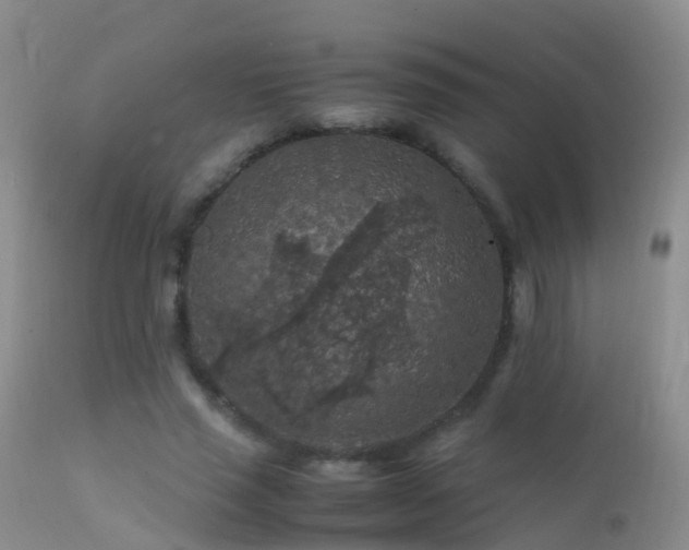 X0000112210637200908141459