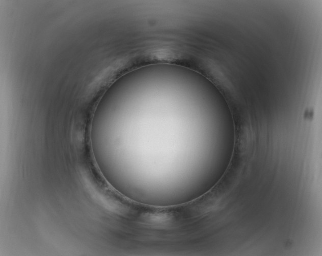 X0000112210639200908141459