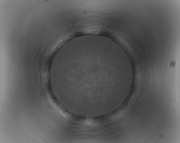 X0000112210641200908141459