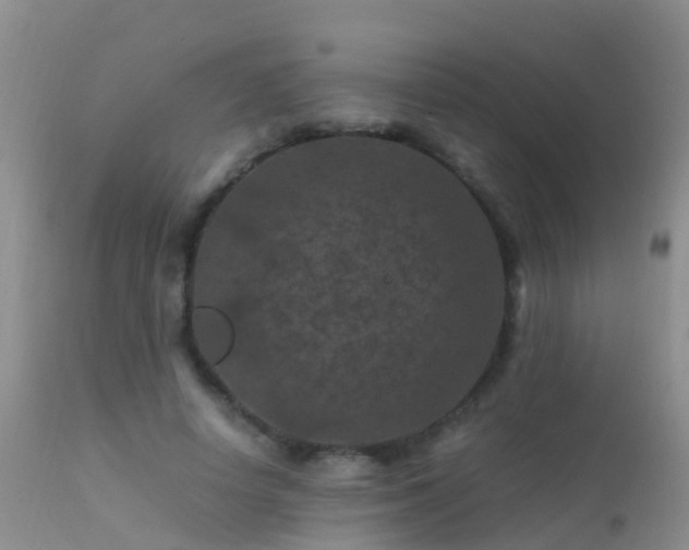 X0000112210642200908141459