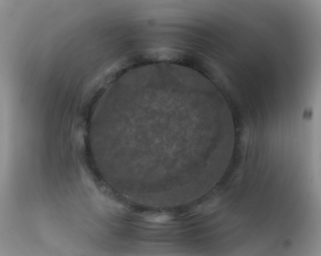 X0000112210643200908141459