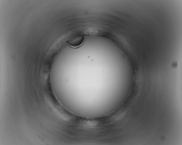 X0000112210645200908141459