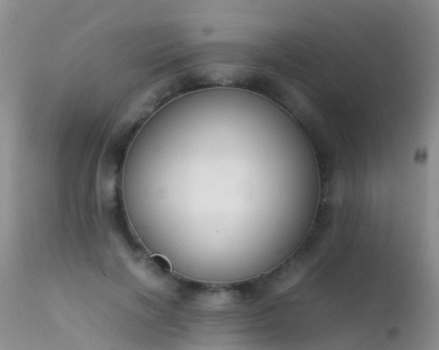 X0000112210646200908141459