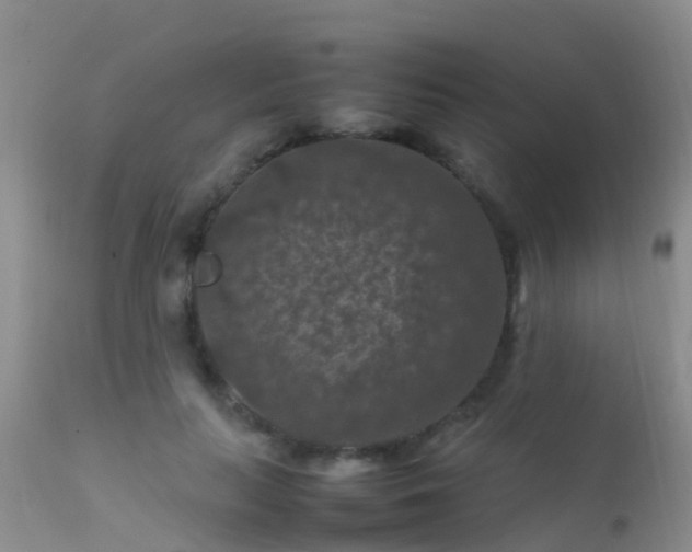 X0000112210647200908141459