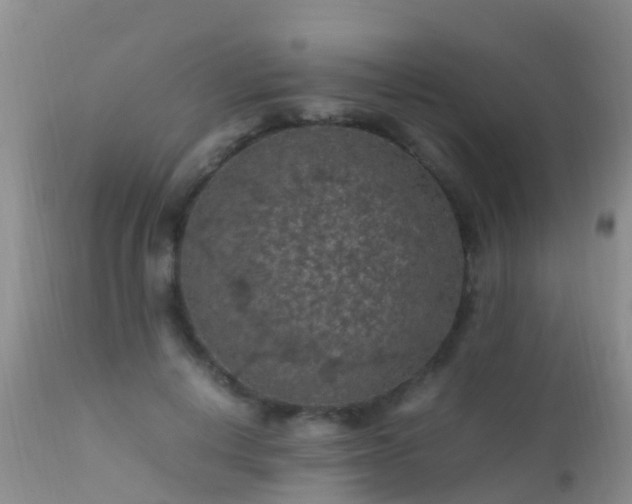 X0000112210648200908141459