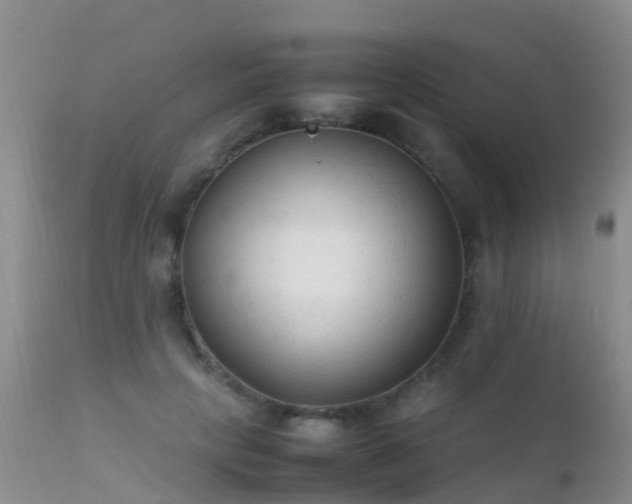 X0000112210649200908141459