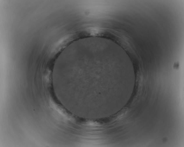 X0000112210650200908141459