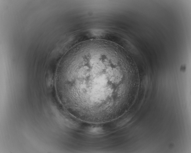 X0000112210651200908141459