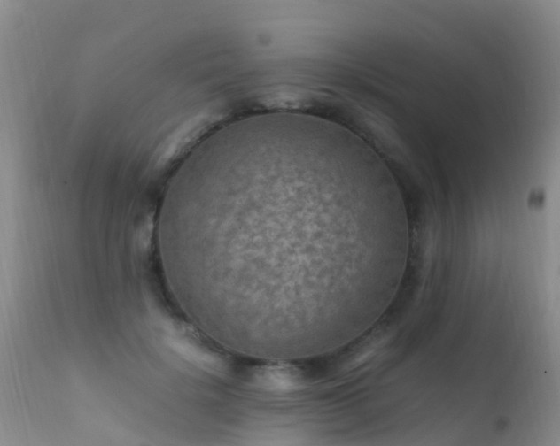 X0000112210652200908141459