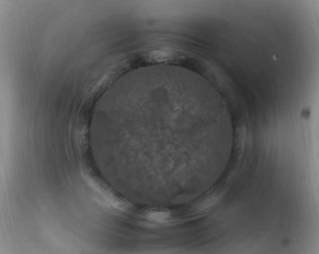 X0000112210653200908141459