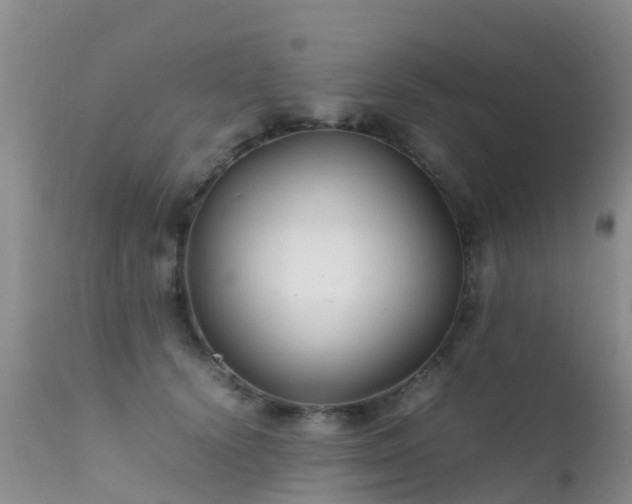 X0000112210656200908141459